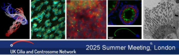Annual Network Meeting 2025